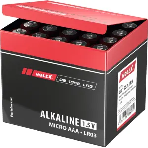 Batterie alcaline al manganese