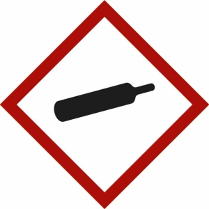 Simbolo delle sostanze pericolose Bombola per gas