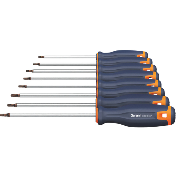 Set di giraviti per viti Torx Plus