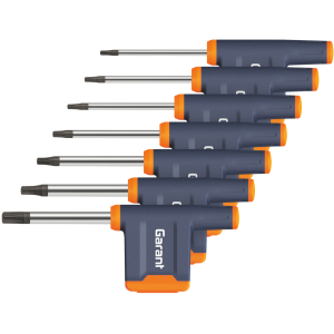 Set di giraviti per viti Torx Plus